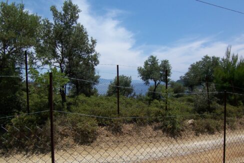 Pounta Land 1