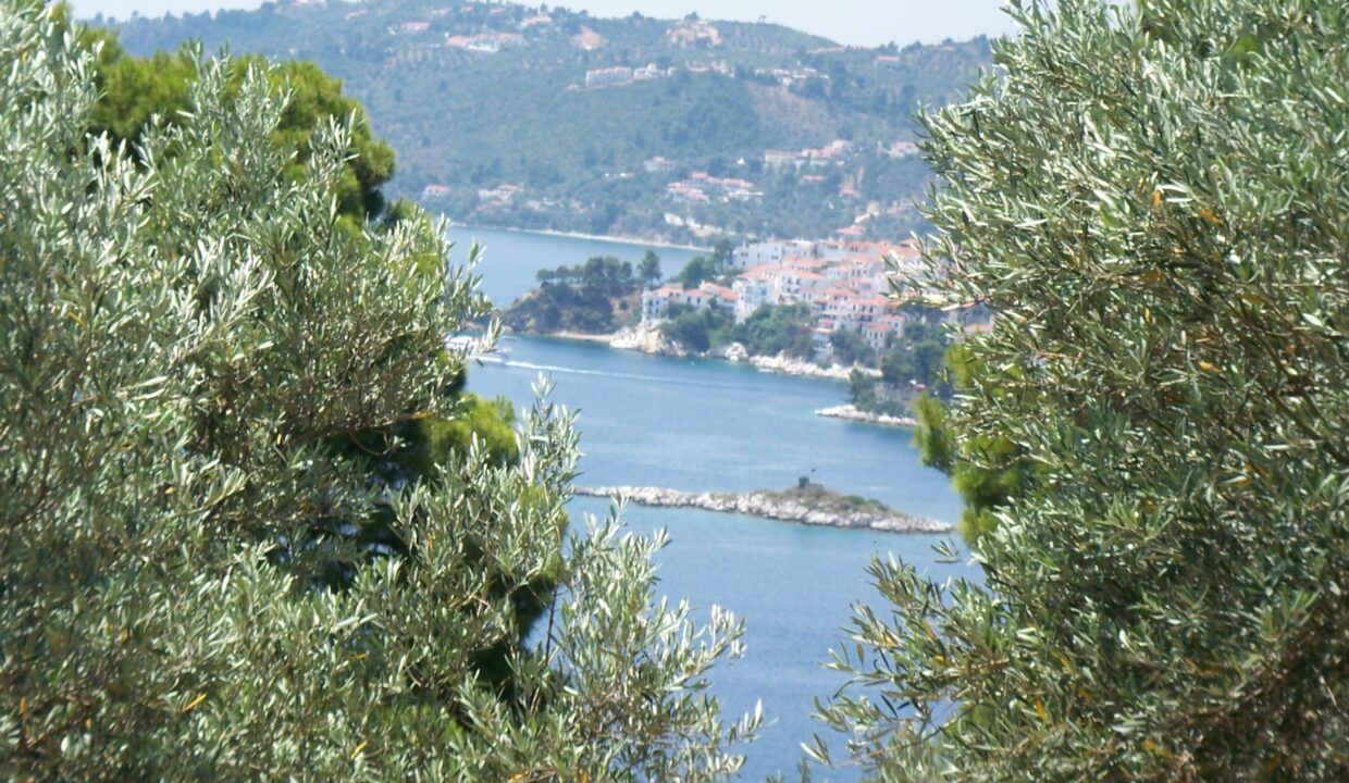 Pounta Land 3