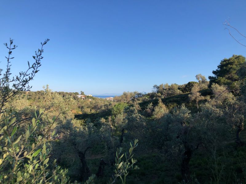 Plot with distant sea views close to town