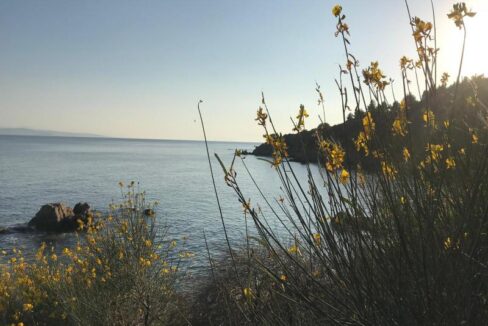 WhatsApp Image 2025-12-10 at 10.26.07_226e235a