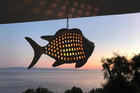 WhatsApp Image 2025-12-10 at 10.26.15_8d163b55