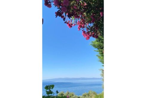 WhatsApp Image 2025-12-10 at 10.26.19_be1cdb19